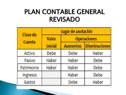 PLAN CONTABLE GENERAL 
REVISADO 
