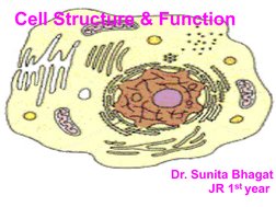 Dr. Sunita Bhagat
JR 1st year 
Cell Structure & Function
