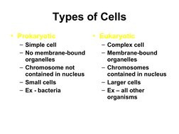 Types of Cells
• Prokaryotic
– Simple cell
– No membrane-bound 
organelles
– Chromosome not 
contained in nucleus
– Small cel