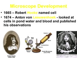 Microscope Development
• 1665 – Robert Hooke named cell
• 1674 – Anton von Leeuwenhoek - looked at 
cells in pond water and b