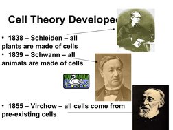 Cell Theory Developed
• 1838 – Schleiden – all 
plants are made of cells
• 1839 – Schwann – all 
animals are made of cells
•