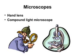Microscopes
• Hand lens
• Compound light microscope
