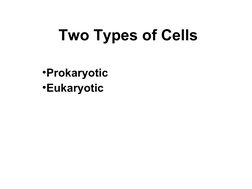 Two Types of Cells
•Prokaryotic
•Eukaryotic
