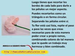 Luego tienes que recortar los 
bordes de cada lado para darle a 
los pétalos un mejor aspecto.  
Separando los pétalos entre