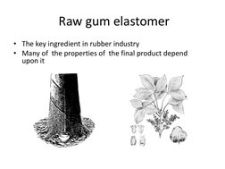 Raw gum elastomer  
• The key ingredient in rubber industry 
• Many of  the properties of  the final product depend 
upon it