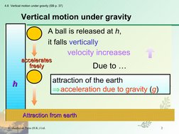 Vertical Motion Under Gravity
