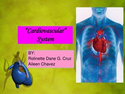 “Cardiovascular“ 
System 
BY: 
Rolinette Dane G. Cruz 
Aileen Chavez 
 

