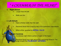 “ 4 CHAMBER OF THE HEART” 
1.
Right Atrium  

 Larger than the left 
 

Walls are thin 
 
 
2. Left Atrium 

Have a thicke