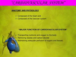 “CARDIOVASCULAR  SYSTEM” 
ANATOMY AND PHYSIOLOGY 
 
Composed of the heart and 
Composed of the vascular system 
 
 
 
“MAJO
