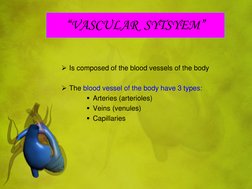 Is composed of the blood vessels of the body 
 
The blood vessel of the body have 3 types: 
Arteries (arterioles) 
Ve