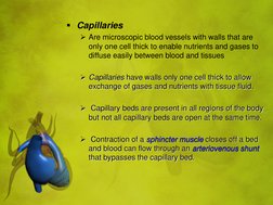Capillaries  
Are microscopic blood vessels with walls that are 
only one cell thick to enable nutrients and gases to 
diff