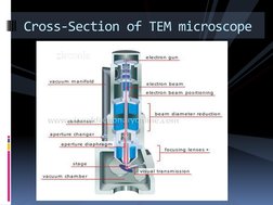 Cross-Section of TEM microscope 
