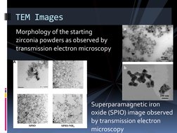 Morphology of the starting 
zirconia powders as observed by 
transmission electron microscopy 
TEM Images 
Superparamagnetic