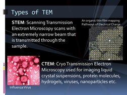 Types of TEM 
STEM: Scanning Transmission 
Electron Microscopy scans with 
an extremely narrow beam that 
is transmitted thro