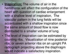 Chest Radiology Techniques Overview | PDF | Thorax | Lung