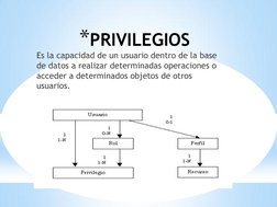 *PRIVILEGIOS 
 
Es la capacidad de un usuario dentro de la base 
de datos a realizar determinadas operaciones o 
acceder a de