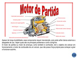 Porta escovas 
Escova de carvão 
Mola da escova 
Induzido (rotor) 
Bobina de campo 
Solenóide (automático) 
Embolo pistão 
Al