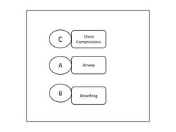                                                                   
C 
Chest 
Compressions 
A 
Airway 
B 
Breathing 
