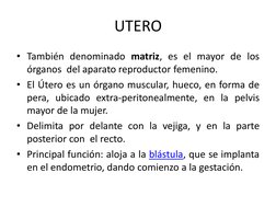 UTERO 
• También denominado matriz, es el mayor de los 
órganos  del aparato reproductor femenino. 
• El Útero es un órgano m