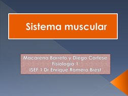 Sistema muscularMacarena Barreto y Diego CorteseFisiología 1 ISEF 1 DrEnrique Romero Brest

