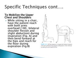 Chest Mobilization Exercises for Ventilation | PDF | Anatomical Terms ...
