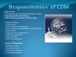 Study Setup 
CRF design and development (paper/e-CRF) 
Database built and testing 
Edit Checks preparation and testing