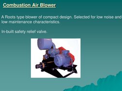 Combustion Air Blower 
 A Roots type blower of compact design. Selected for low noise and 
 low maintenance characteristics.