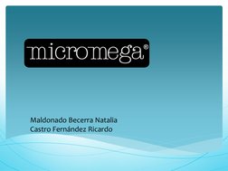 Maldonado Becerra Natalia 
Castro Fernández Ricardo 
