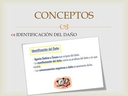  
IDENTIFICACIÒN DEL DAÑO 
 
CONCEPTOS 
