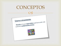  
 
CONCEPTOS 

