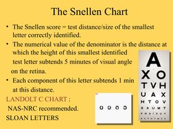The Snellen Chart
• The Snellen score = test distance/size of the smallest 
letter correctly identified.
• The numerical valu