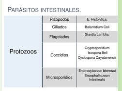 PARÁSITOS INTESTINALES. 
Protozoos 
Rizópodos 
E. Histolytica. 
Ciliados 
Balantidium Coli 
Flagelados 
Giardia Lamblia. 
 
C