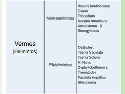 Vermes 
(Helmintos) 
Nematelmintos 
Áscaris lumbricoides 
Oxiuro 
Tricocéfalo 
Necator Americano 
Ancilostoma . D. 
Strongylo
