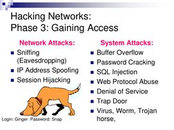 Hacking Networks: 
Phase 3: Gaining Access 
Network Attacks: 
Sniffing 
(Eavesdropping) 
IP Address Spoofing 
Session Hija