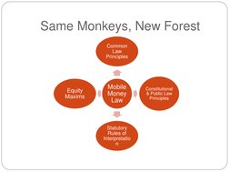 Same Monkeys, New Forest 
Mobile 
Money 
Law 
Common 
Law 
Principles   
Constitutional 
& Public Law 
Principles 
Statutory