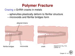 Chapter 15 - 10 
Polymer Fracture 
fibrillar bridges 
microvoids 
crack 
alligned chains 
Adapted from Fig. 15.9, 
Callister