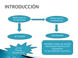 INTRODUCCIÓN
Medio para la 
recuperación 
ACTIVIDAD 
Medio para la 
recuperación 
OCUPACIÓN 
Verdadero objeto de estudio 
H