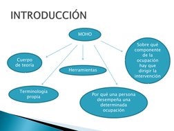 INTRODUCCIÓN
MOHO 
Cuerpo 
de teoría 
Terminología 
propia 
Por qué una persona 
desempeña una 
determinada 
ocupación 
Sob