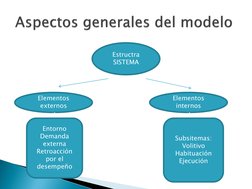 Aspectos generales del modelo
Estructra 
SISTEMA 
Elementos 
externos 
Elementos 
internos 
Entorno 
Demanda 
externa 
Retr