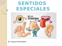 SENTIDOS 
ESPECIALES
Br. Gustavo Hernandez
