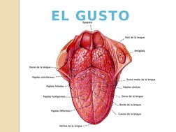 EL GUSTO
