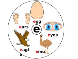 e
egg
eyes
emu
eagl
e
ears

