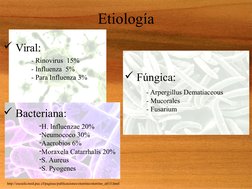 Etiología
http://escuela.med.puc.cl/paginas/publicaciones/otorrino/otorrino_a015.html
 Viral:
 Bacteriana:
 Fúngica:
- Rin