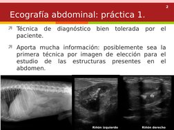 2
Técnica de diagnóstico bien tolerada por el 
paciente.
Aporta mucha información: posiblemente sea la 
primera técnica por