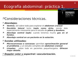 4
Consideraciones técnicas.
Abordajes:

Ventral, útil sobre todo para explorar el abdomen craneal

Decúbito 
lateral 
tan