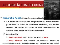 7
Ecografía Renal: Consideraciones técnicas.

Se deben realizar cortes longitudinales, transversales 
y oblicuos (a nivel d