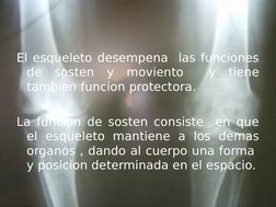 El esqueleto desempena  las funciones 
de sosten y moviento  y tiene 
tambien funcion protectora.
La funcion de sosten consis