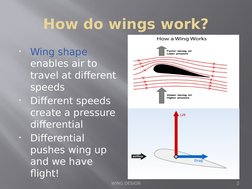 How do wings work?
•
Wing shape 
enables air to 
travel at different 
speeds
•
Different speeds 
create a pressure 
different