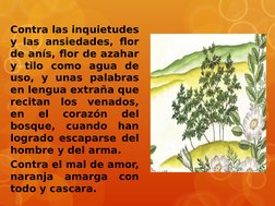 Contra las inquietudes 
y las ansiedades, flor 
de anís, flor de azahar 
y tilo como agua de 
uso, y unas palabras 
en lengua