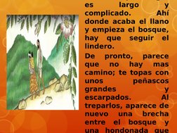 p
g
es 
largo 
y 
complicado. 
Ahí 
donde acaba el llano 
y empieza el bosque, 
hay 
que 
seguir 
el 
lindero.
De 
pronto, 
p